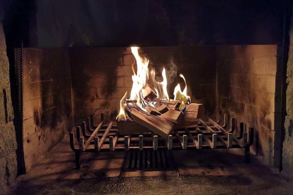 Ferienwohnung In Trin מראה חיצוני תמונה